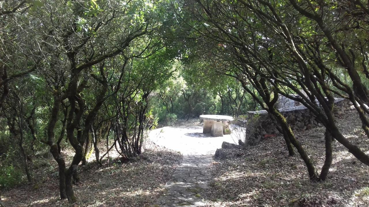 Cabeco Dos Tres Moinhos Villa Rio Maior Bagian luar foto